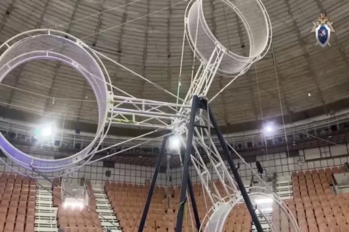    В верхней точке во время исполнения номера аттракцион набирает высоту до 8-10 метров.