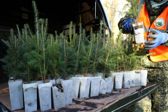   Фото из архива Калининград.Ru