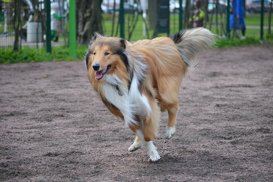 Фото из личного архива