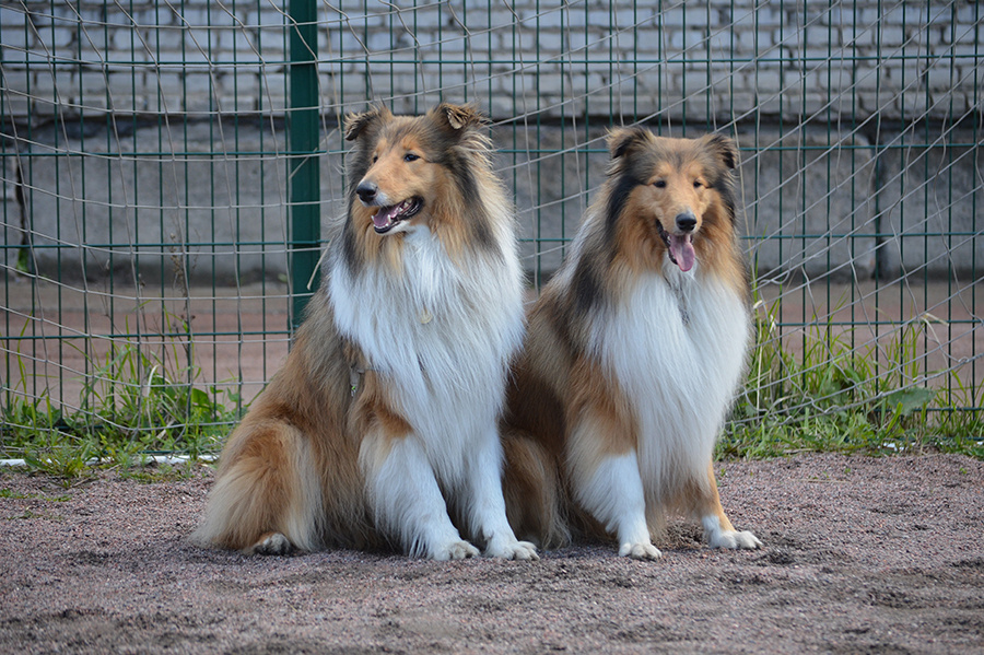 Фото из личного архива