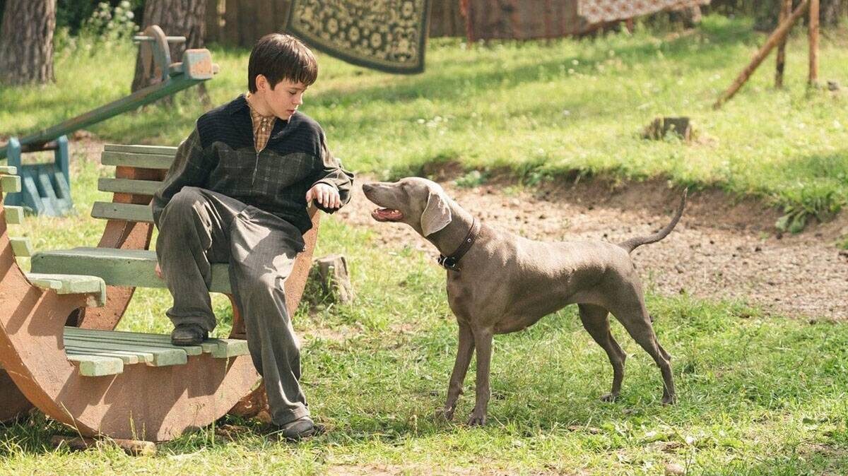    Фото: Карузо. 2025 год