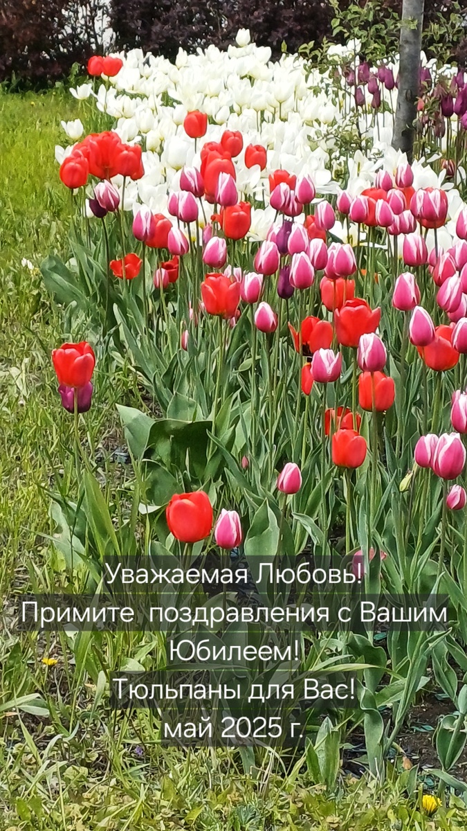 Открытка, автор Татьяна Федотова