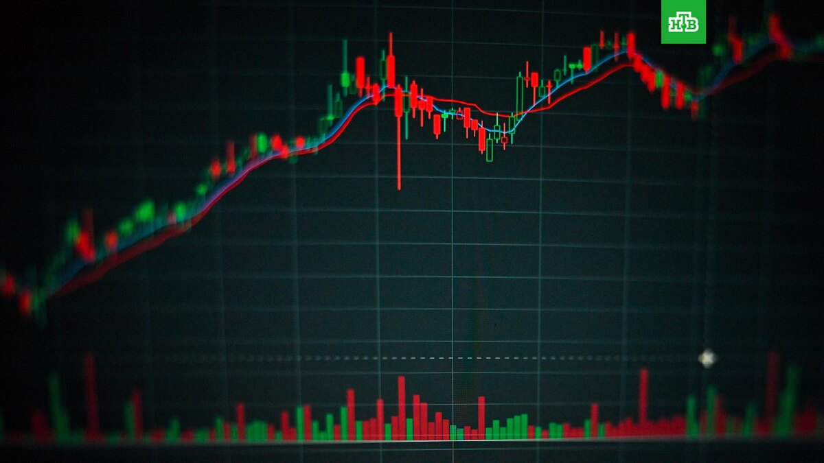    Фото: РИА Новости © 2025, Владимир Песня