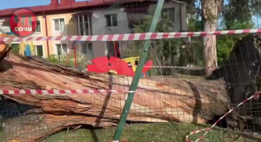 Фото: Telegram/ЧП Сочи  📷
