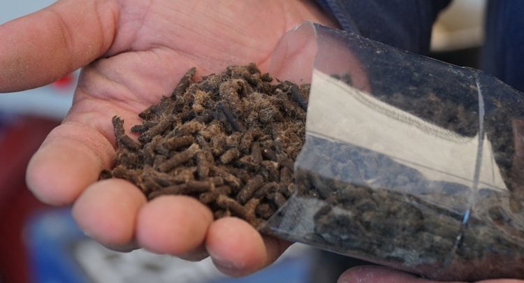    Шерстяные удобрения презентовали на 25-ой Выставке овец и коз