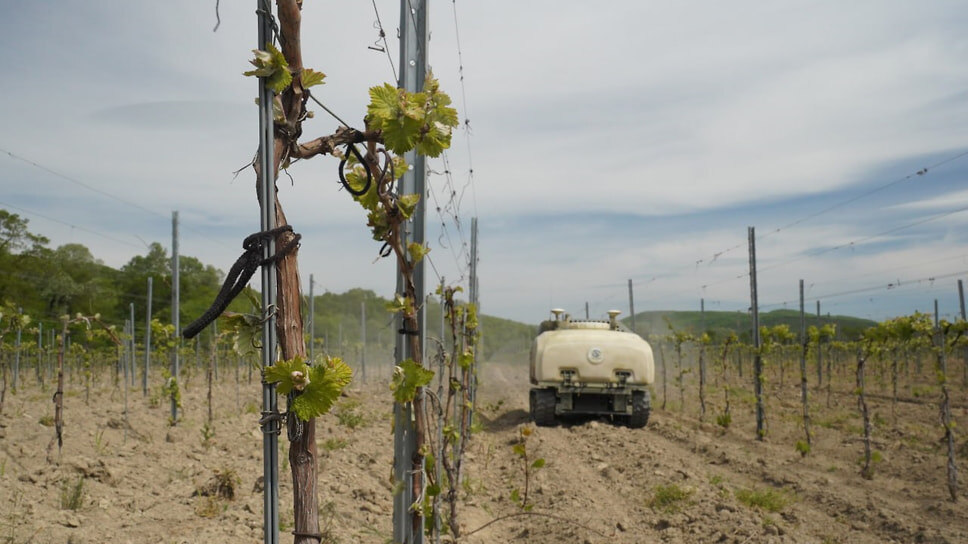 Фото: пресс-служба администрации Новороссийска