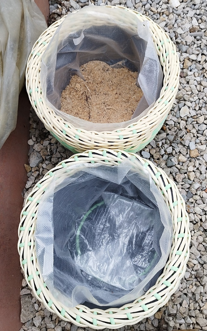 Первая пара.