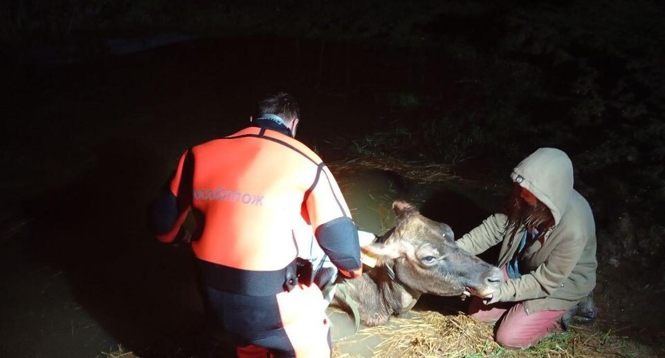    ГКУ МО «Мособлпожспас»