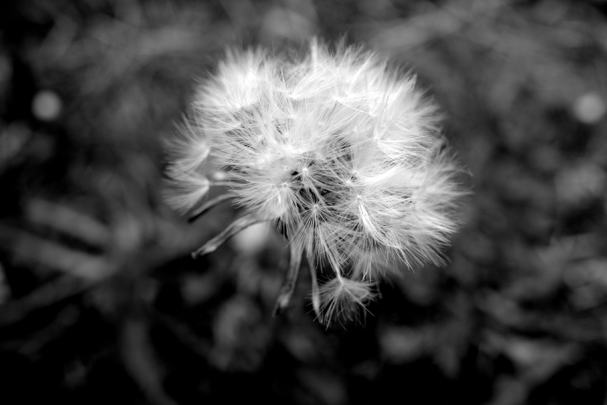 ©️photographer Sergey Karavaev #SOOC blog 365 days photo