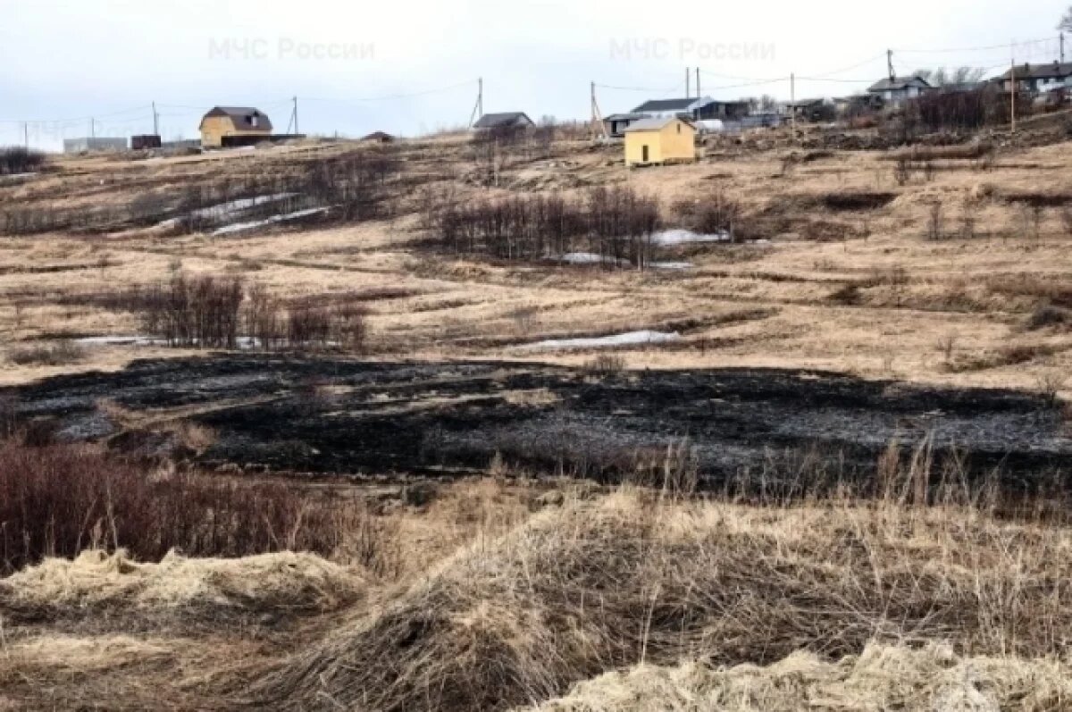    Жители Вершино-Дарасунского боятся подошедшего пожара