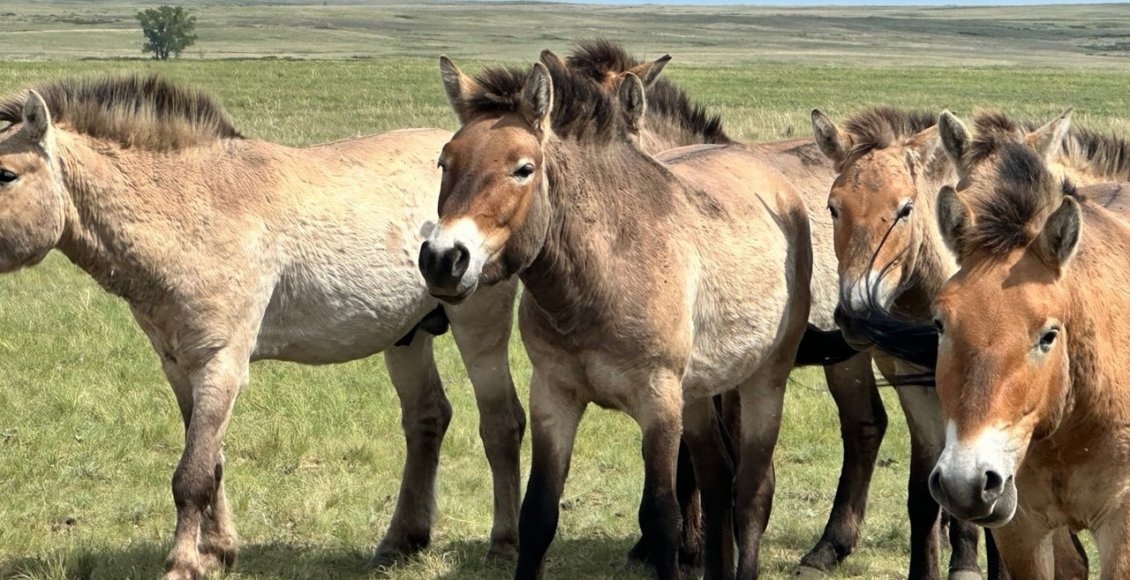    Фото: Минэкологии Челябинской области
