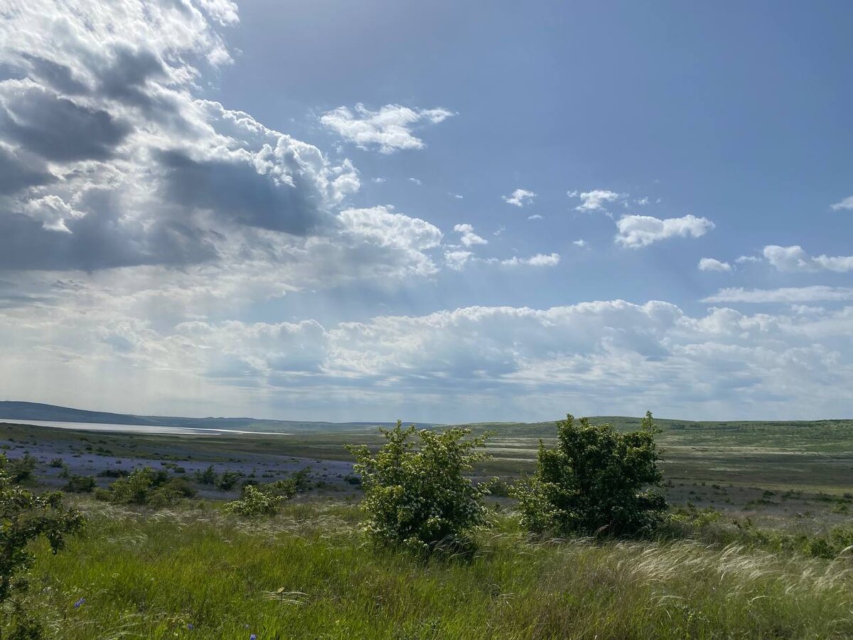 Вид на Караларский парк, слева виднеется о. Чокрак