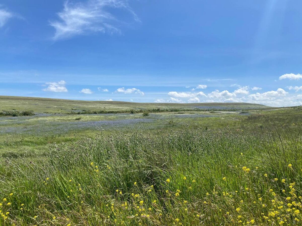 Караларский парк