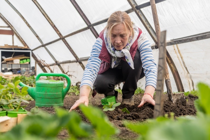    Фото Андрея Заржецкого