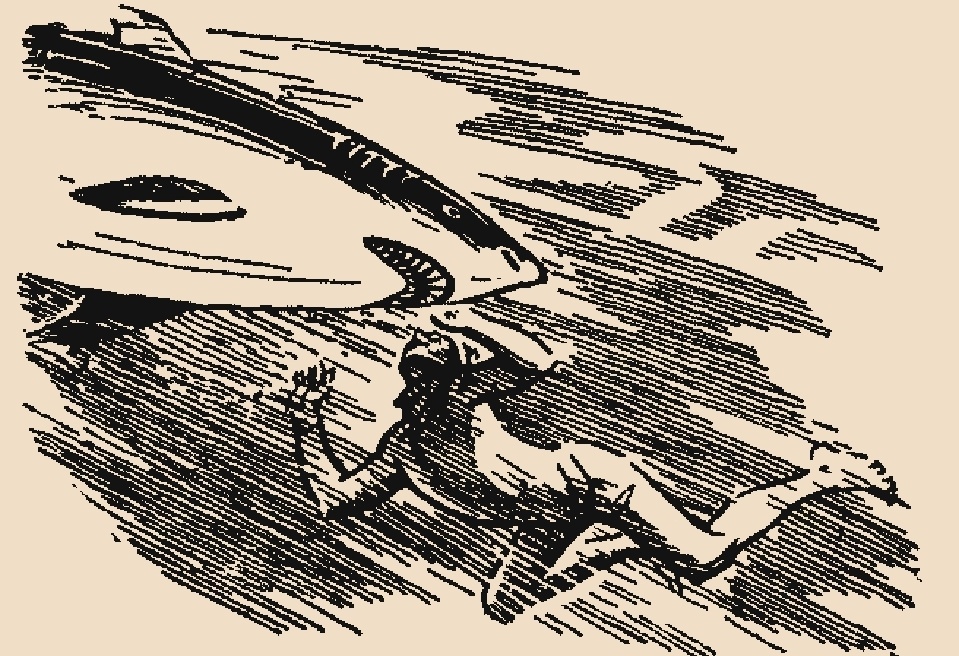 Иллюстрация к книге Насибова "Безумцы"