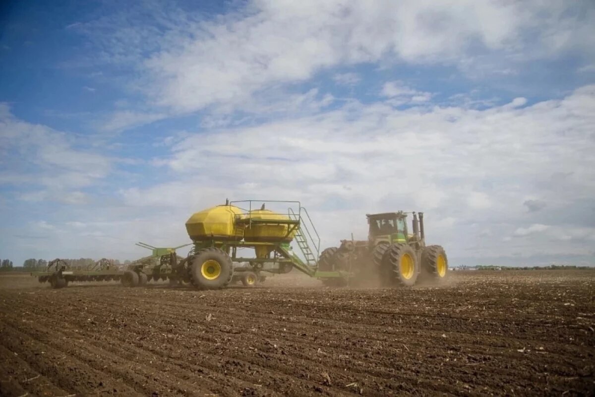    В Курской области могут объявить ЧС после гибели посевов от заморозков