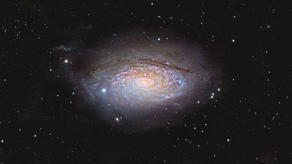 Источник: Ronald Brecher  📷
