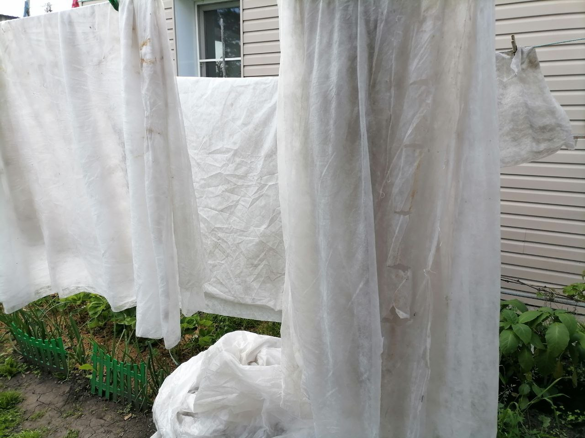 Стирка и сушка в разгаре, фото автора