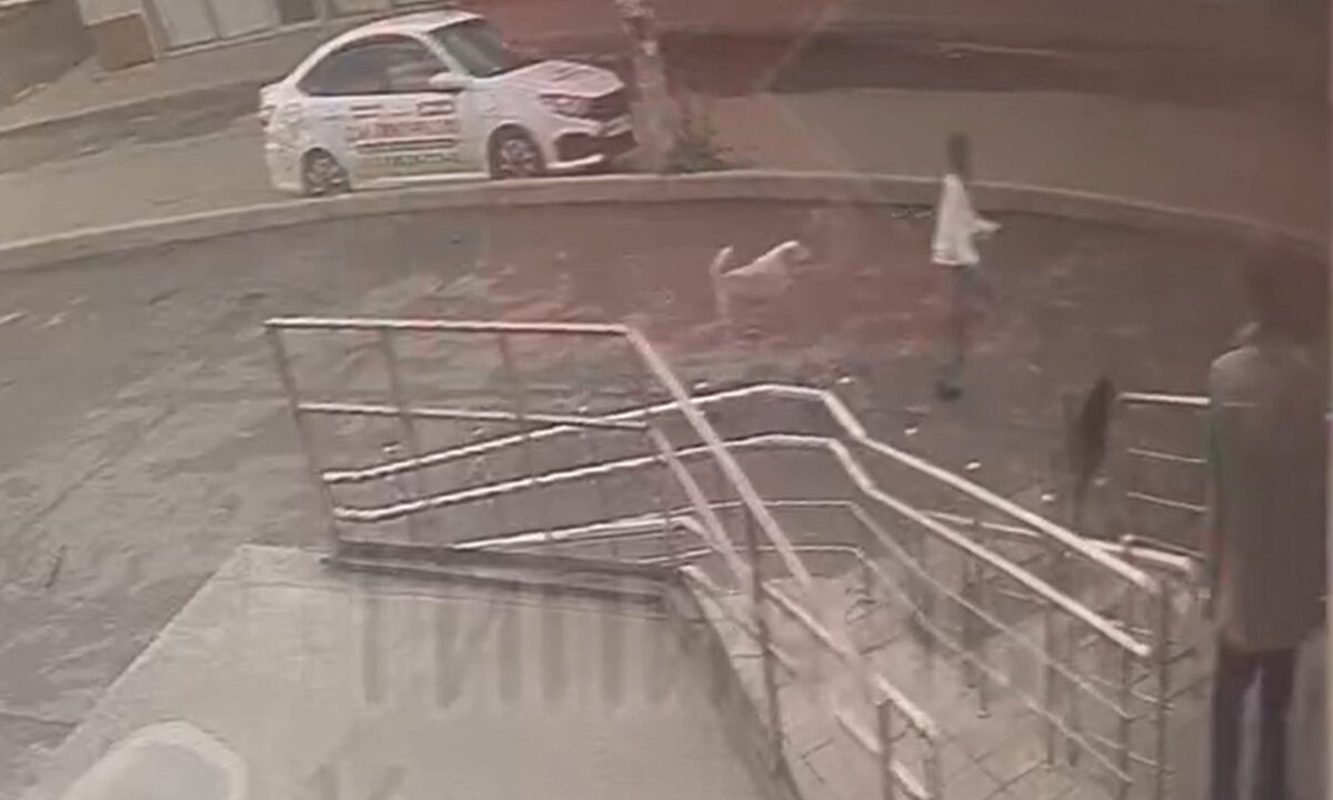    Фото t.me/krd_tipich_ru