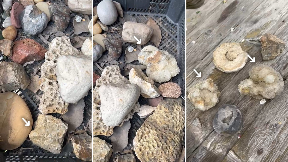 Богатый улов