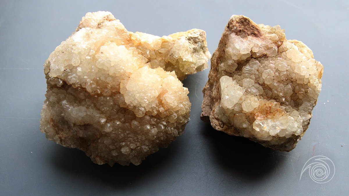 Друзья после мойки и чистки под краном