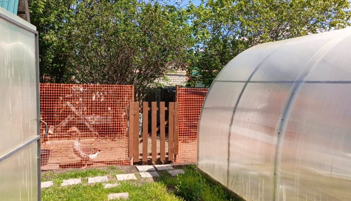 Получилось почти в цвет забора))))