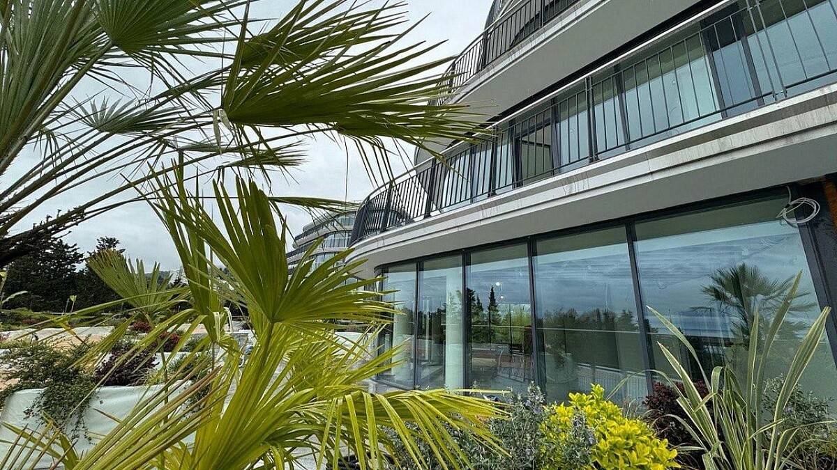    Фото: пресс-служба администрации Сочи