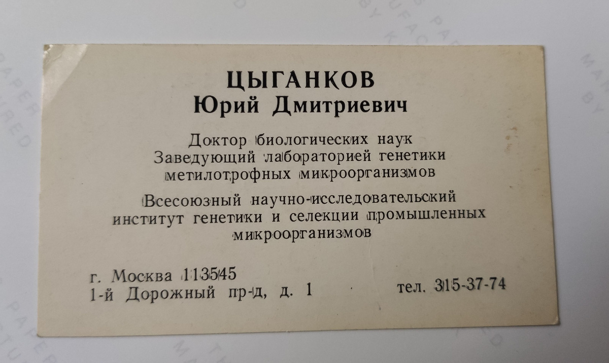 фото из архива автора