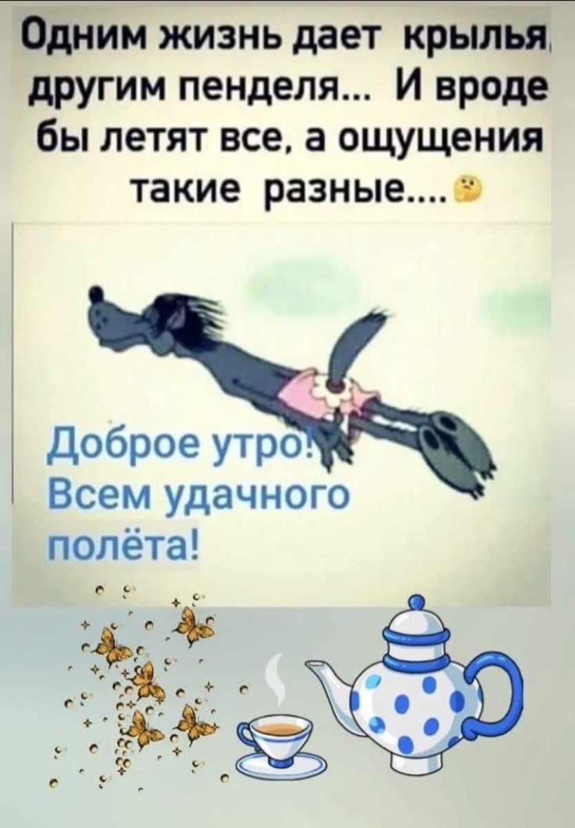 Скрин из открытых источников