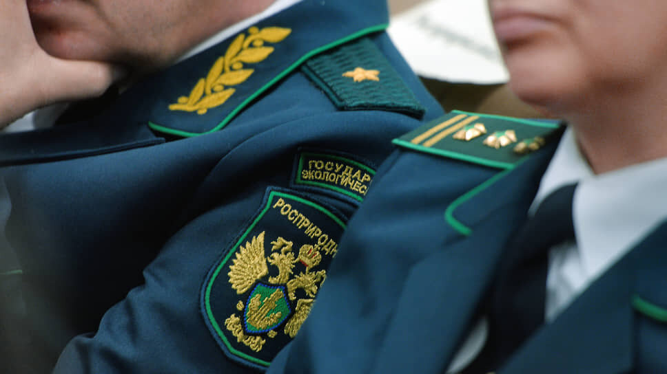 Фото: Эмин Джафаров / Коммерсантъ