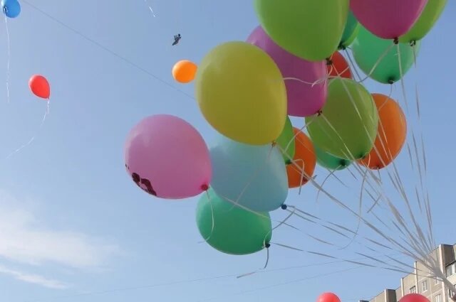    Как пройдут последние звонки в приграничной Белгородской области?