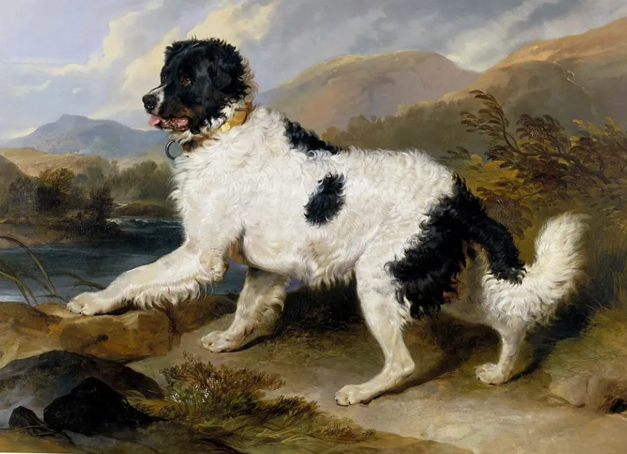 Лев, ньюфаундлендская собака, 1824. Картина сэра Эдвина Генри Ландсира.