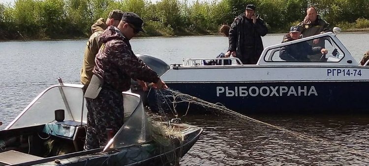    Россияне стали чаще добывать рыбу с нарушением законодательства