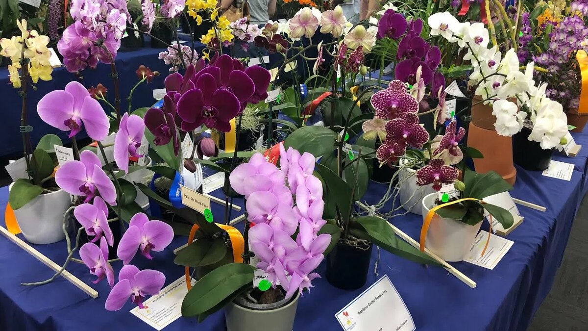 Фото из открытых источников Яндекс.