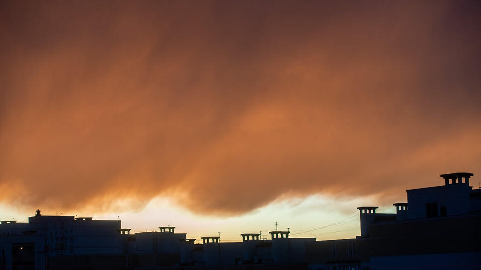 Фото: Олег Харсеев / Коммерсантъ