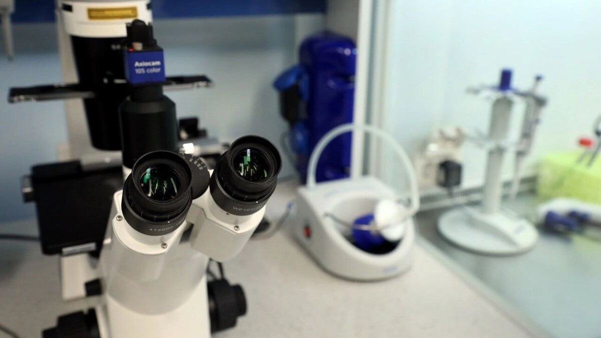     Источник: t.me/volggmu_vuz