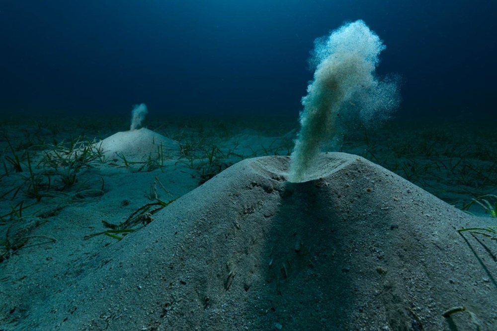    Angel Fitor, fpa2photoaward.org