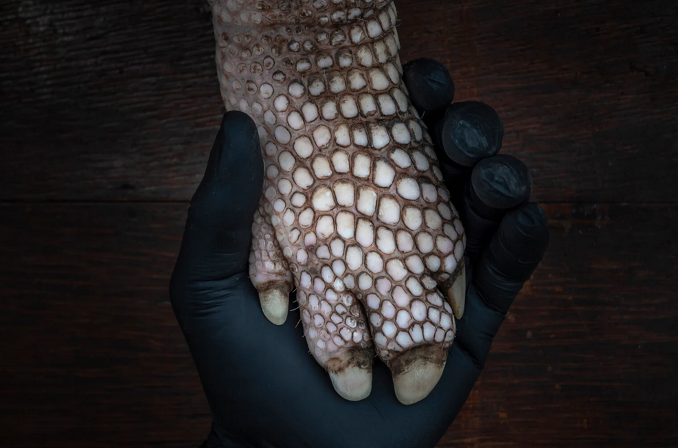    Второе место в категории «Творцы перемен: причины для надежды». Fernando Faciole, fpa2photoaward.org