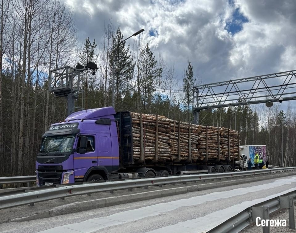    ДТП на подъезде к Сегеже. Фото: Госавтоинспекция Карелии / ВК