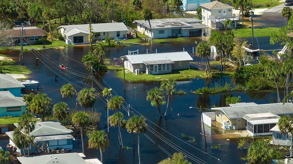     Фото: Bilanol/Shutterstock/FOTODOM