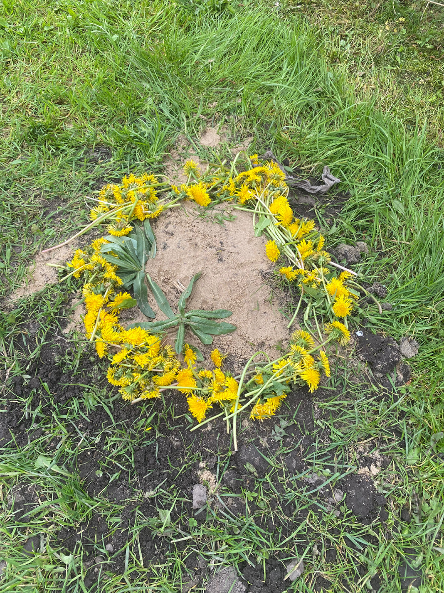 Клумба из сорняков