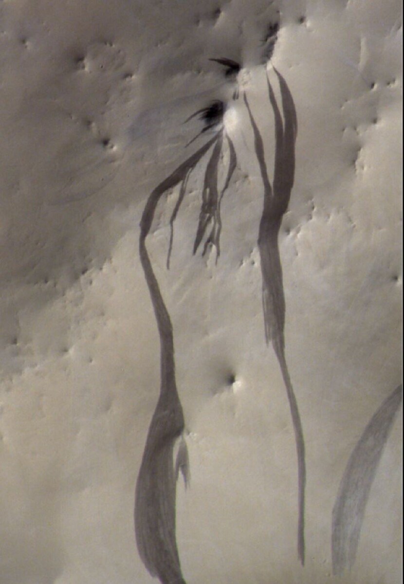 Фото: NASA  📷
