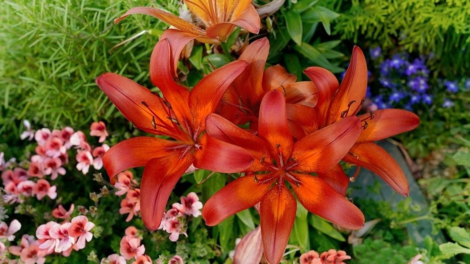 ShutterStock/Fotodom.ru