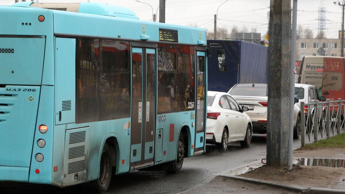    Фото: Maksim Konstantinov/globallookpress.com