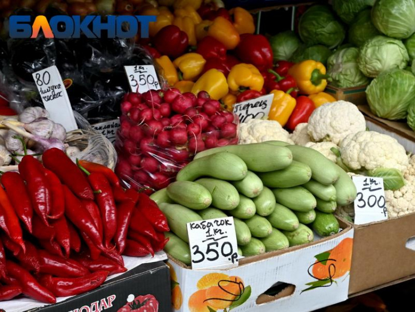 Фото: «Блокнот Краснодар"

