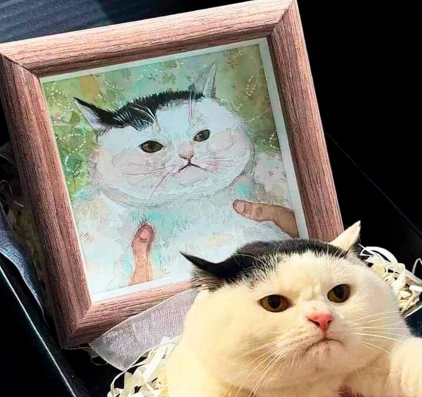 иллюстрация из яндекс картинки.