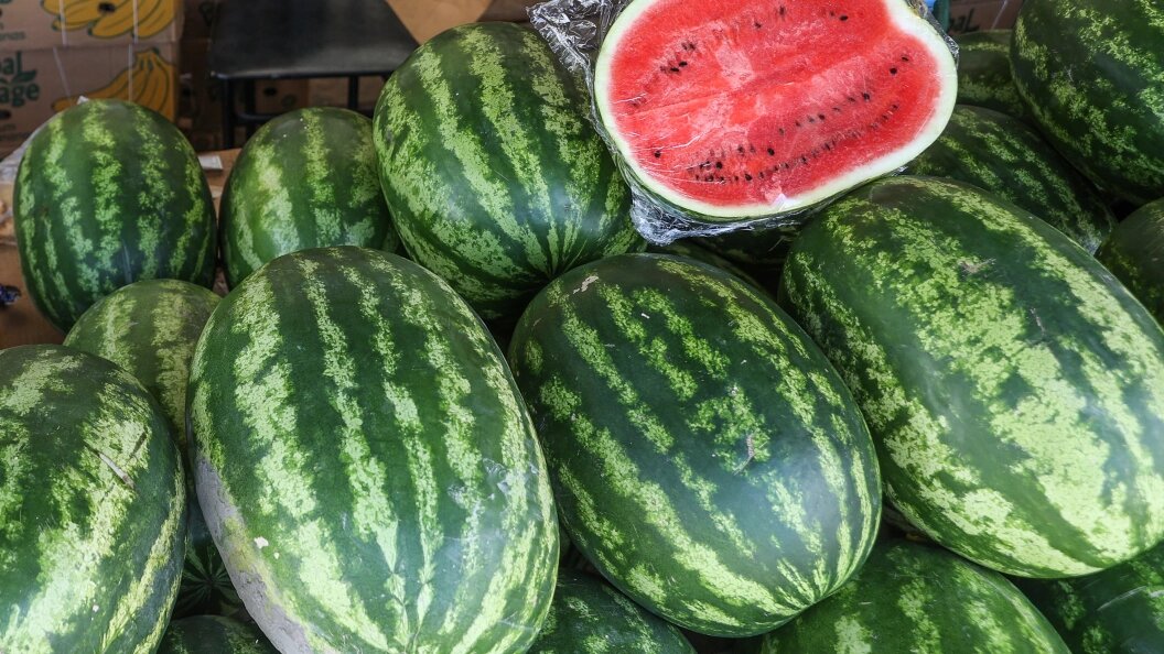    Фото: Bulkin Sergey/Globallookpress