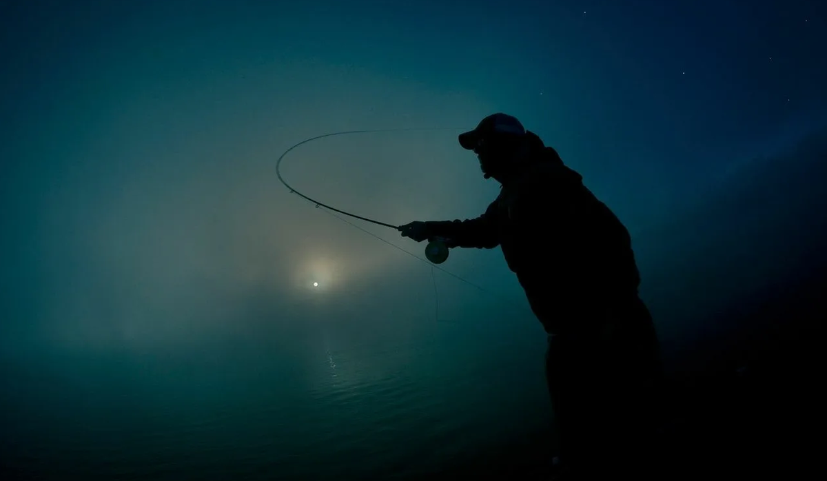 🔍 Ключевые слова для поиска: ловля сома ночью, трофейный сом, снасти для сома, наживки на сома, квок на сома, ночная рыбалка, как поймать крупного сома.