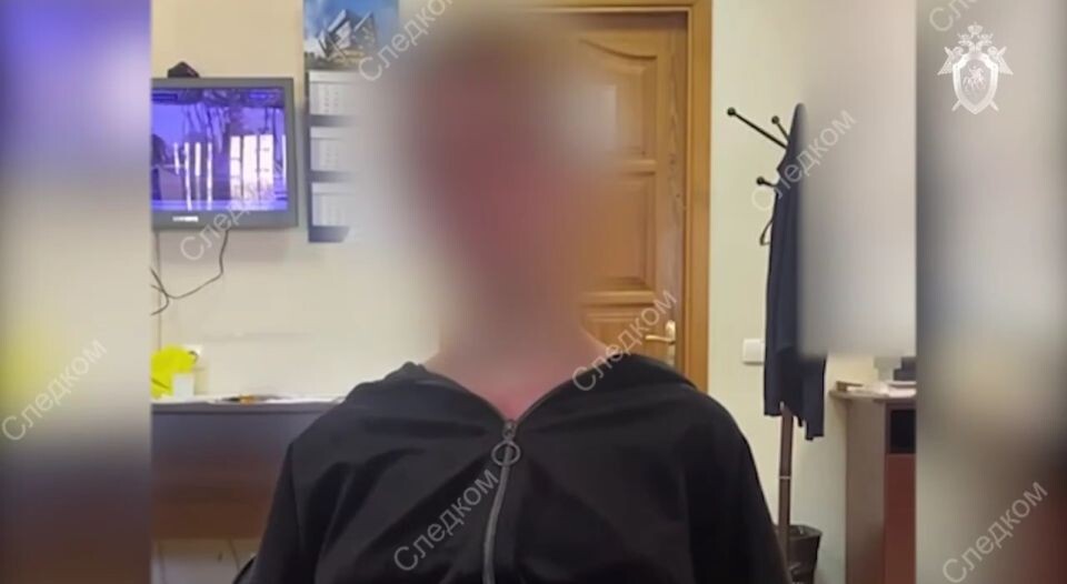    Подозреваемая в убийстве школьница. Источник: Следком РФ