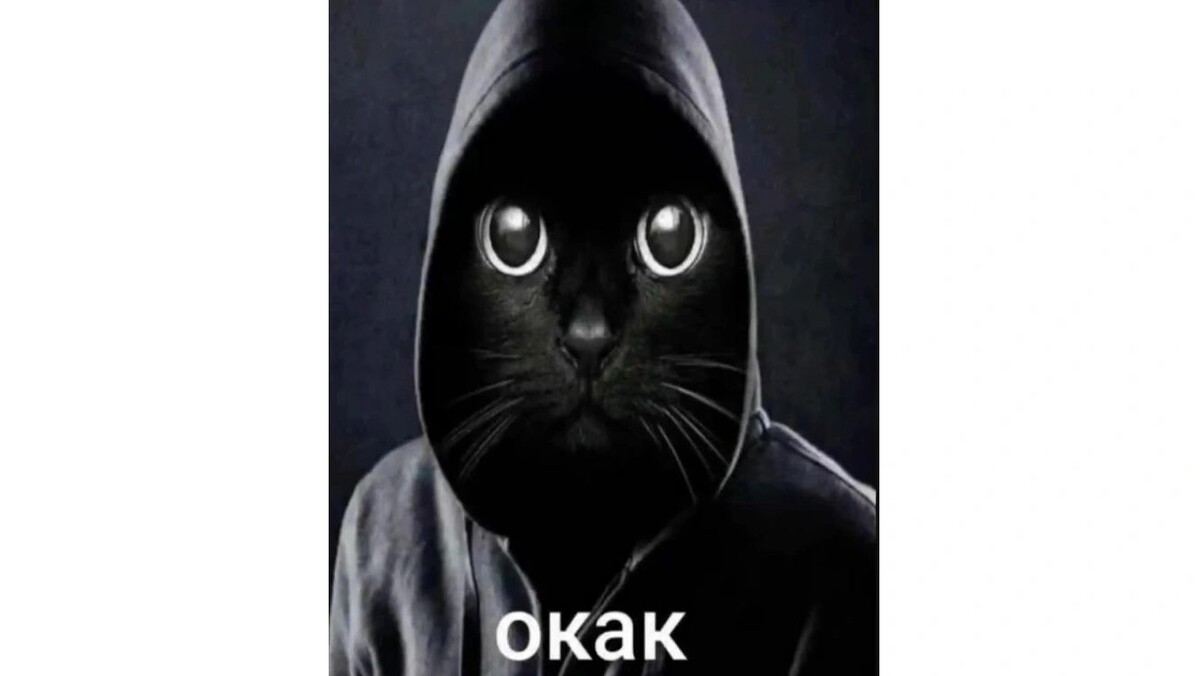    Фото: скриншот из VK Видео «Окак (мем с котом в капюшоне)_original»